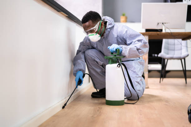 Emergency Pest Control Services in Riverdale Park, CA